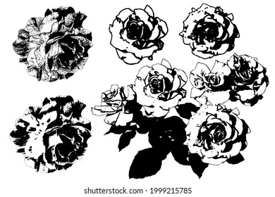 Vector set of isolated roses. Black and white image.