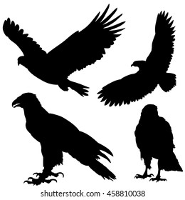 vector, set, isolated, silhouette of an eagle