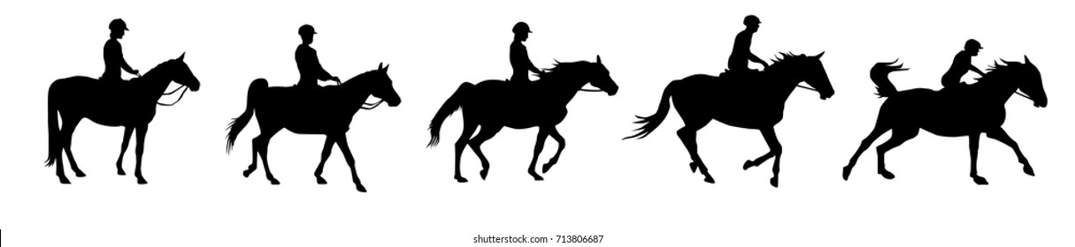 A vector set of a isolated silhouette horse with his rider - phases of his move. Stand, walk, trot, gallop, fast gallop. You can choose just one of them.