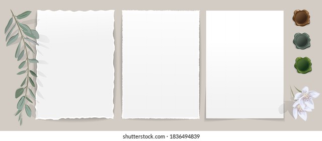 Vector set of isolated stationery items for branding mock-up and colored wax seal. All templates with transparent shadows