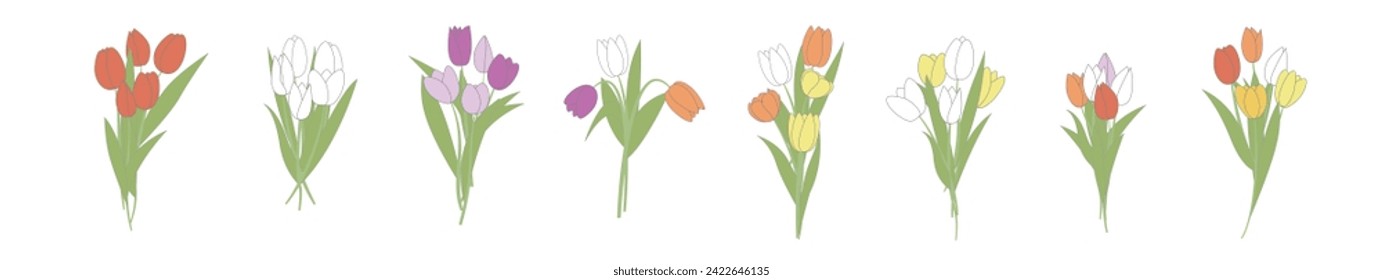 Vector set of isolated tulips' bouquets. Vibrant colors in a flat style. Botanical vector illustration on isolated background. Spring flowers for women's day, mother's day, easter and other holidays.