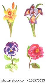 Vector set of isolated watercolor flowers