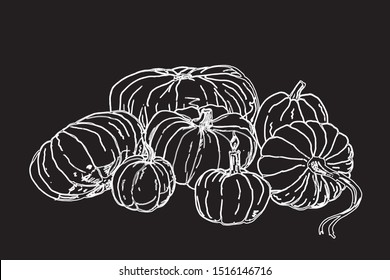 vector set, isolated white contour transparent images of pumpkins on black background 