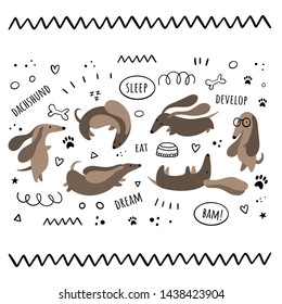 Vector set of isolates by dachshunds. Flat, cartoon, Doodle styles. Character, different emotions
