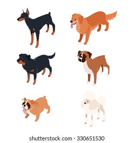 Vector set of isometric icons of various dogs