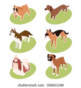 Vector set of isometric icons of various dogs