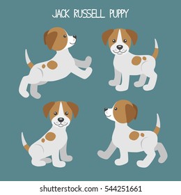 Vector set with jack russell terrier dog puppy in different poses walk, jump, sit, stand.