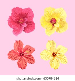 Vector set of jamaica flowers. Four different types of jamaica flowers in pink and yellow.