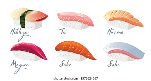 Vector set with japanese dishes from fishes and rice. Hokkigai, Tai, Hirame, Maguro, Sake, Saba sushi with lettering. Collection isolated on white background for menu of restaurant, take away bar.