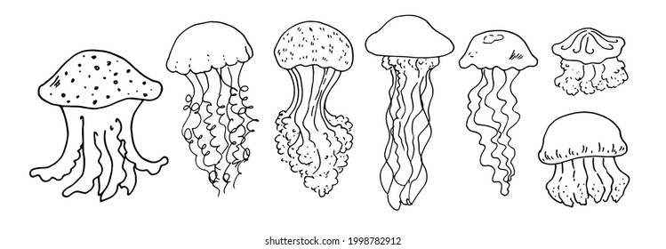 Vector set of jellyfish. hand-drawn jellyfish in a sketch style of different shapes with long and short tentacles with a pattern of dots and stripes isolated black line on a white background 