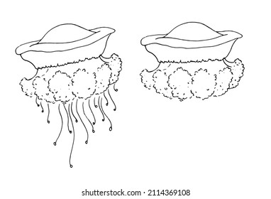Vector set of jellyfish. a hand-drawn jellyfish in the style of a sketch of different shapes with a cap with long and short tentacles with a pattern of dots and stripes isolated by a black line 