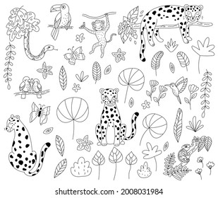 Vector set of jungle animals for coloring book. Hand drawn doodle leopards, toucan, snake, monkey, parrots and chameleon. Outline exotic plants and flowers. Black and white illustration for kids.