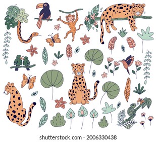 Vector set of jungle animals. Hand drawn doodle leopards, toucan, snake, monkey, parrots and chameleon. Tropical exotic plants and flowers. Line illustrations ideal for t-shirts and stickers.