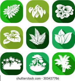 vector set of jungle flat icons with tropical trees, plants and leaves