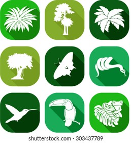 vector set of jungle flat icons with tropical trees, plants and leaves, Rainforest Frog, Toucan, butterflies, humming-birds and anaconda