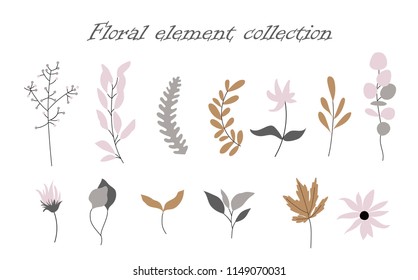 Vector set of jungle flowers in a flat style.