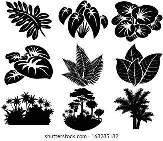 vector set of jungle icons with tropical trees, plants and leaves