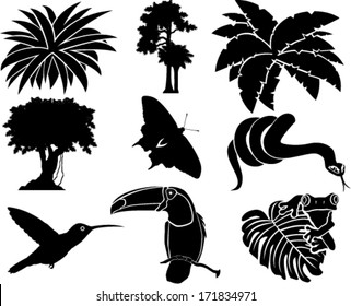 vector set of jungle icons with tropical trees, plants and leaves, Rainforest  Frog, Toucan, butterflies, humming-birds and anaconda