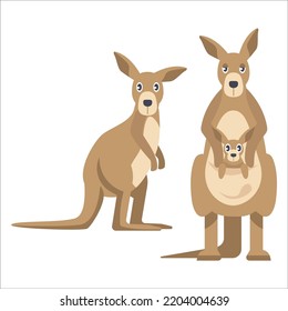 Vector Set Of Kangaroo Illustration Isolated On White Background