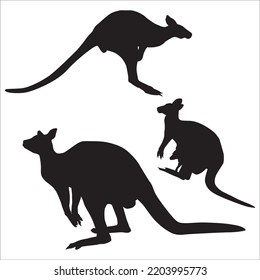 Vector Set Of Kangaroo Silhouettes Illustration Isolated On White Background