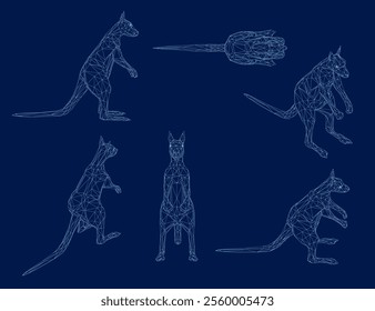 Vector set of kangaroo wireframe. Australian cute marsupial. 3D. Vector illustration.