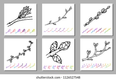 Vector Set of Kidney bud black pattern in the plant design. Hand painted spring garden flora. Black sletch isolated on whie background with gradient colorful elements. Trunks and twigs for your design