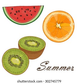 Vector set with kiwi, orange and water-melon