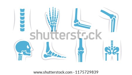 Vector set of knee, leg, pelvis, scapula, skull, elbow, foot, hand and other icons. Orthopedic and skeleton symbols on white background. Human joints and bones.