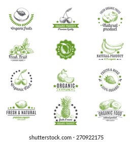 Vector set of labels, badges and hand drawn design elements with fruits. Logo collection. 