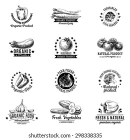 Vector set of labels, badges and hand drawn design elements with vegetables. Logo collection.