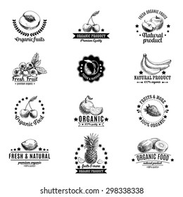 Vector set of labels, badges and hand drawn design elements with fruits. Logo collection.