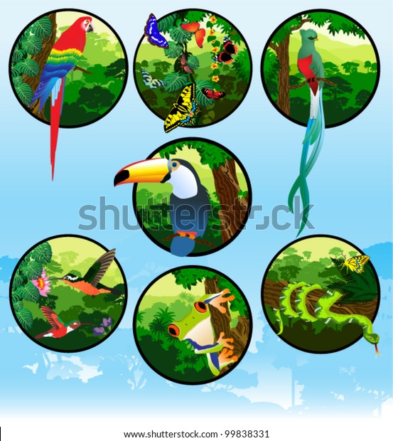 Vector Set Labels Jungle Animals Stock Vector (Royalty Free) 99838331 ...