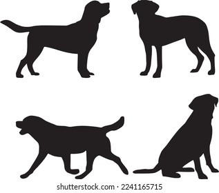 Vector set of labrador dog silhouettes. Shadows of pets, mammals
