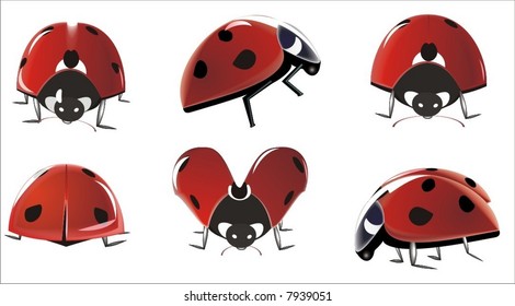 vector set of lady bugs