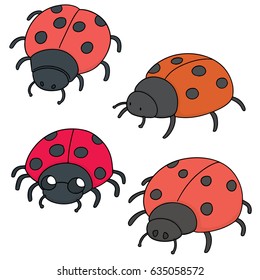 vector set of ladybug