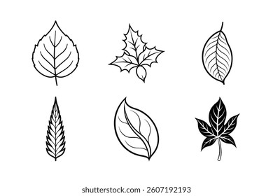 Vector set of leaf icons showcases a seamless floral pattern, an artistic nature illustration for spring or autumn design
