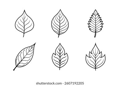 Vector set of leaf icons showcases a seamless floral pattern, an artistic nature illustration for spring or autumn design