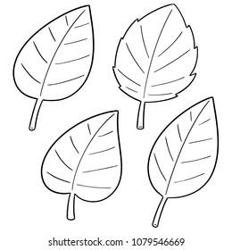 vector set of leaves