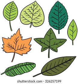 vector set of leaves