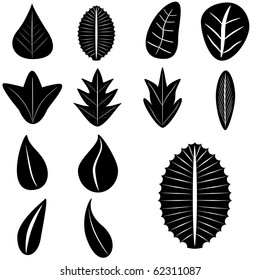 VECTOR - Set of Leaves