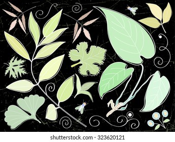 Vector set of leaves, branches, swirls, insects. Leaf collection isolated. Color drawing on a black background. Vintage floral elements.  Hand drawn design elements.