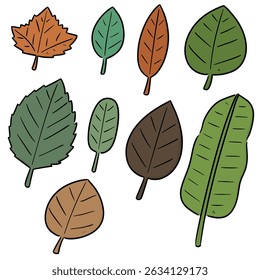 Vector conjunto de hojas de dibujos animados