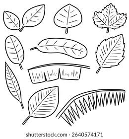 vector set of leaves cartoon