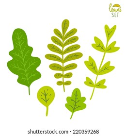 Vector set of leaves. Cartoon leaf illustration.