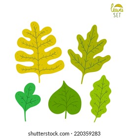 Vector set of leaves. Cartoon leaf illustration.