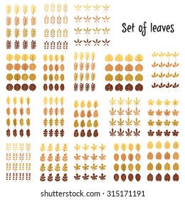 Vector set of leaves. Cartoon leaf illustration