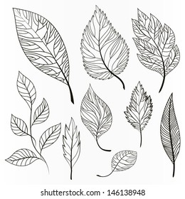 Vector set of leaves, collection of hand-drawn leaves