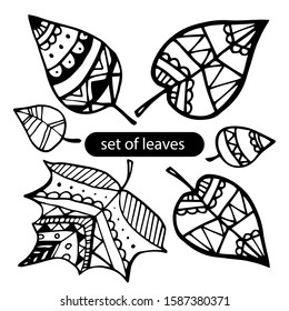 Vector set of leaves, collection of hand-drawn leaves. Isolated on white. Ink illustration. Hand drawn design elements.