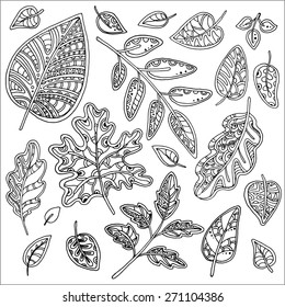 Vector set of leaves, collection of hand-drawn leaves.