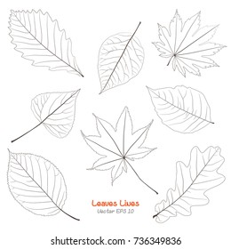 Vector set of leaves, collection of hand-drawn leaves